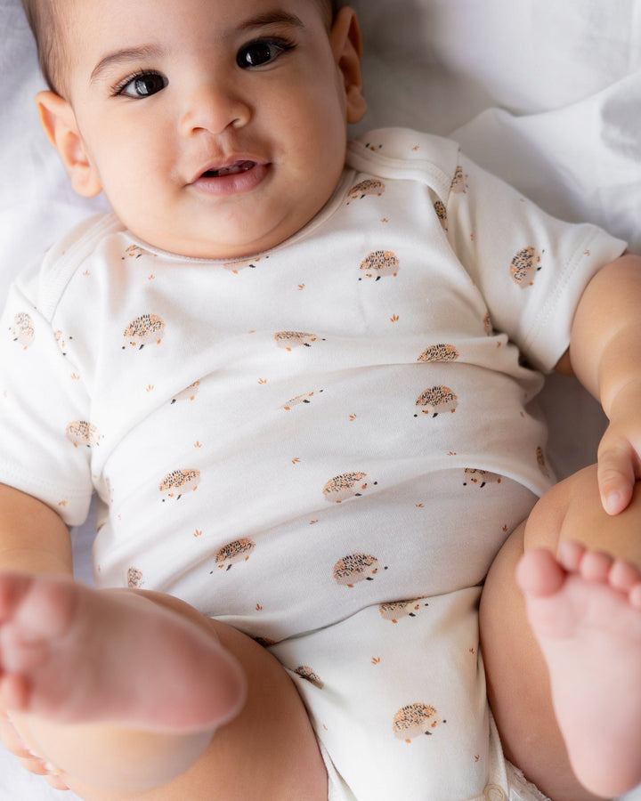 3-Pack Shortsleeve Bodysuit Everday Meadow